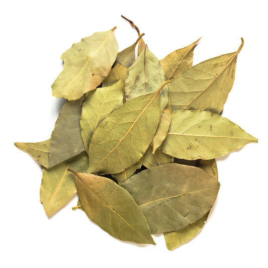 Alloro Lauro in Foglie essiccato