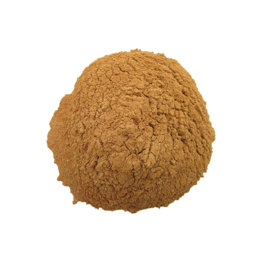 Cannella Regina zeylanicum macinata polvere